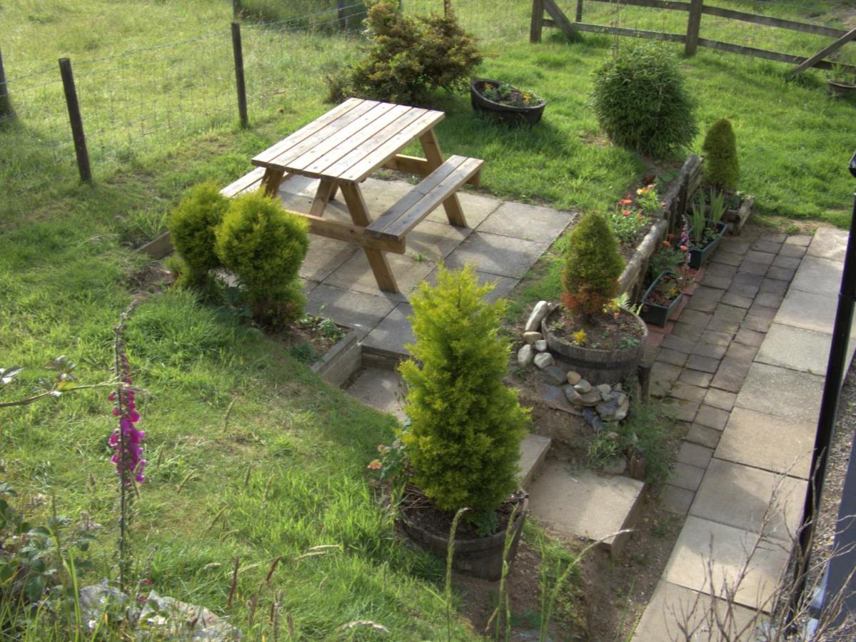 Abergwynant Farm Glamping & Apartments Dolgellau Exteriér fotografie