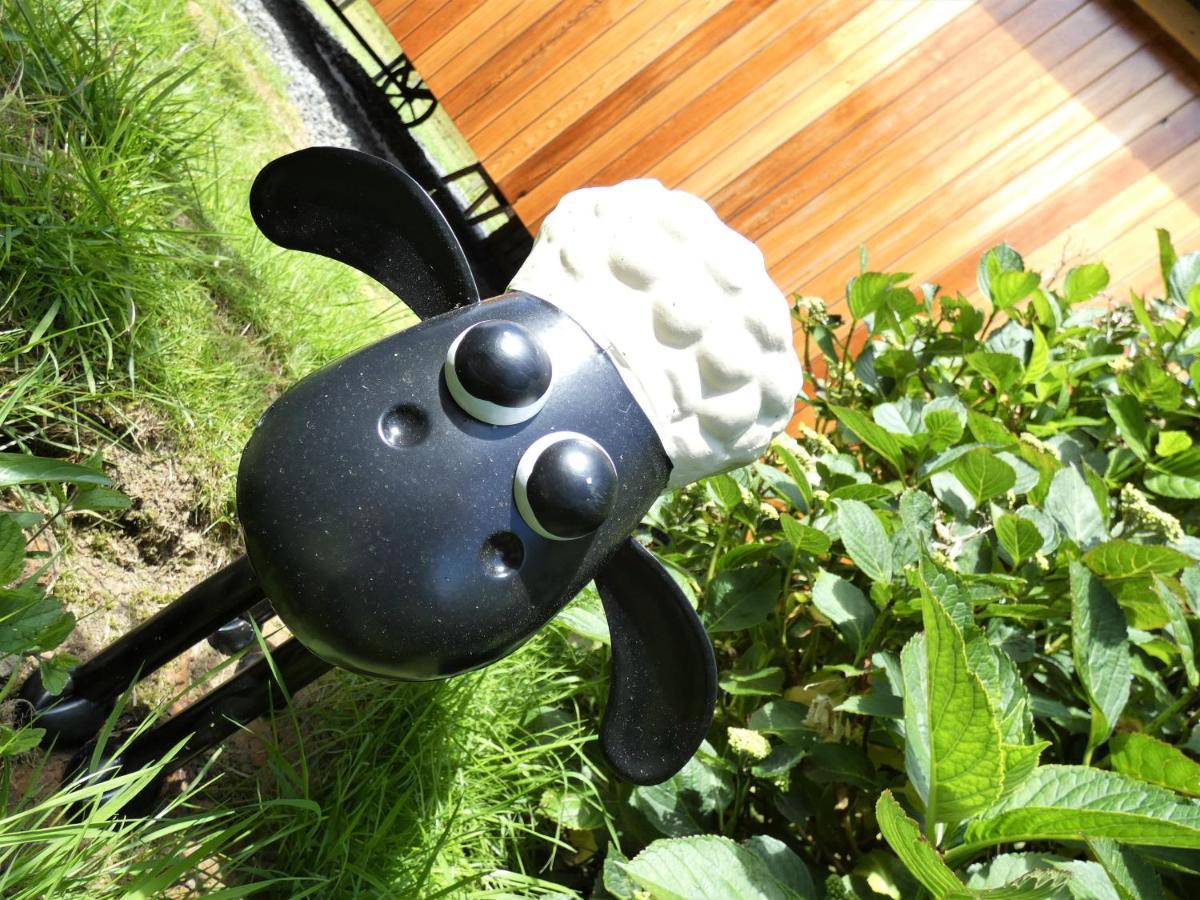 Abergwynant Farm Glamping & Apartments Dolgellau Exteriér fotografie