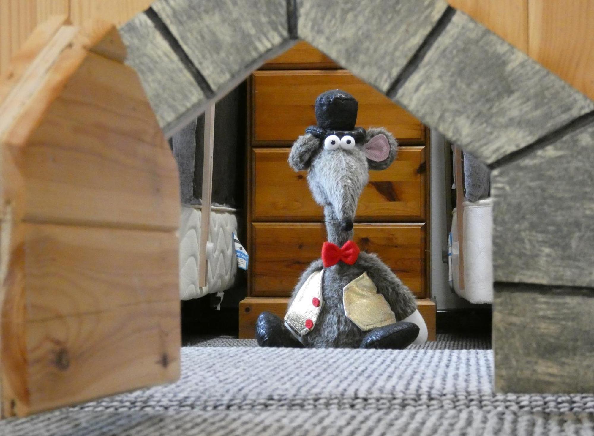 Abergwynant Farm Glamping & Apartments Dolgellau Exteriér fotografie